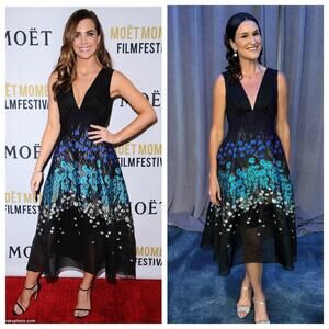 LELA ROSE Runway Blue Floral Embroidered A Line V Neck Mid Length Dress Sise 4